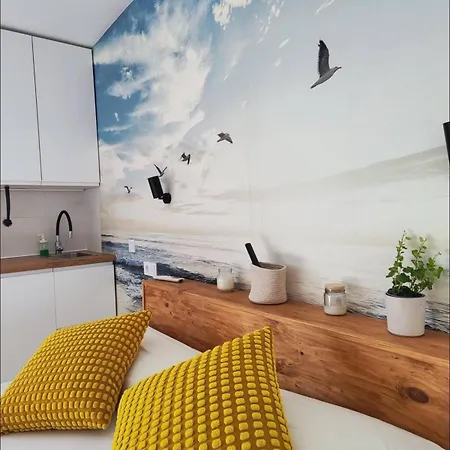 Apartment Evans Realty Bz Estudio & Piscina & Centro & Playa
