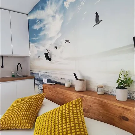 Apartment Evans Realty Bz Estudio & Piscina & Centro & Playa